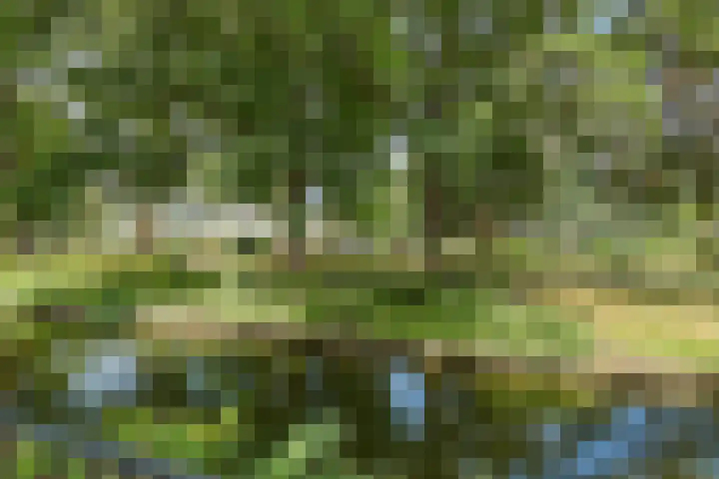 Laan Hofrust 1 a Rijswijk thumbnail 87