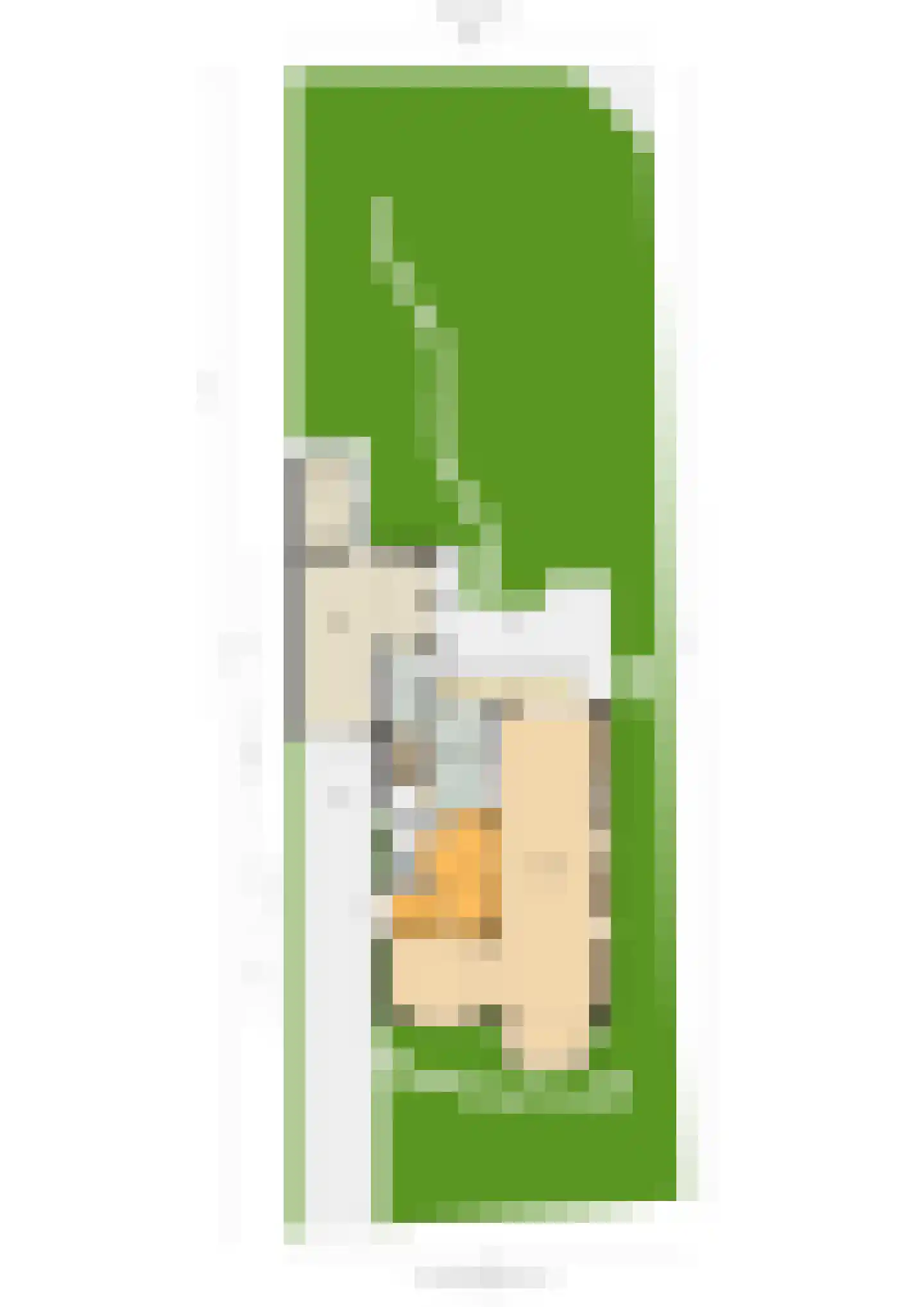 Laan Hofrust 1 a Rijswijk thumbnail 91