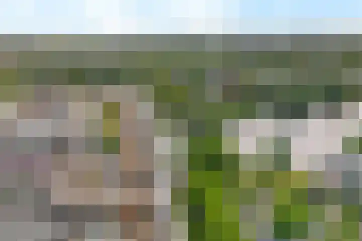 Laan naar Emiclaer 18 A Amersfoort thumbnail 21