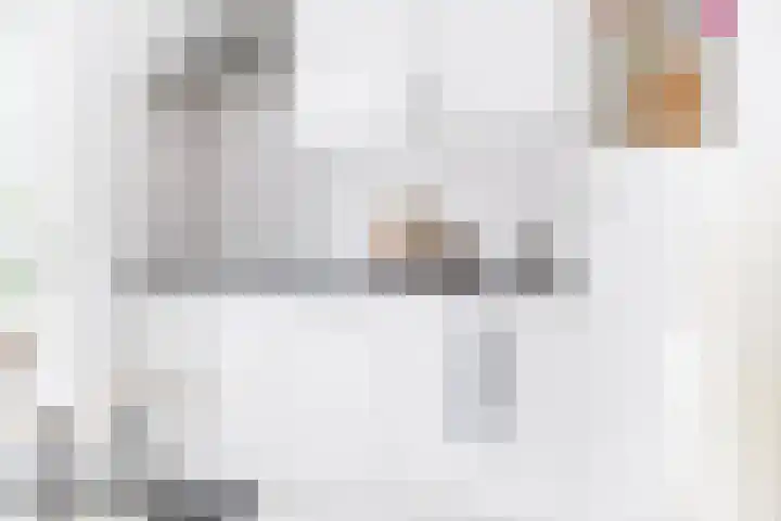 Laan naar Emiclaer 18 Amersfoort thumbnail 10