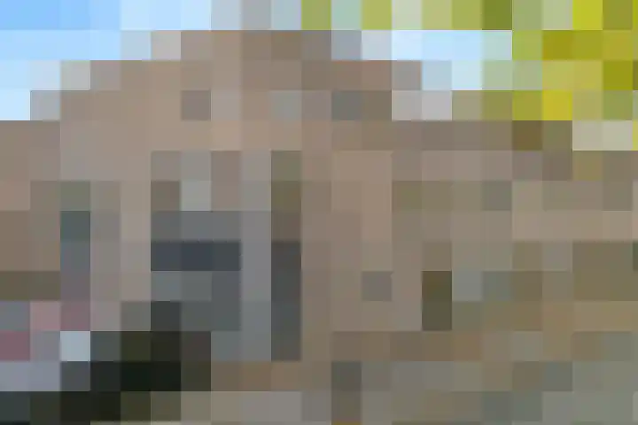 Laan naar Emiclaer 18 Amersfoort thumbnail 17