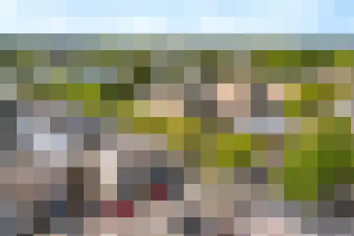 Laan naar Emiclaer 18 Amersfoort thumbnail 18