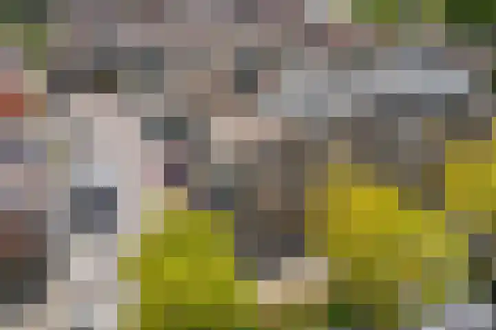 Laan naar Emiclaer 18 Amersfoort thumbnail 19