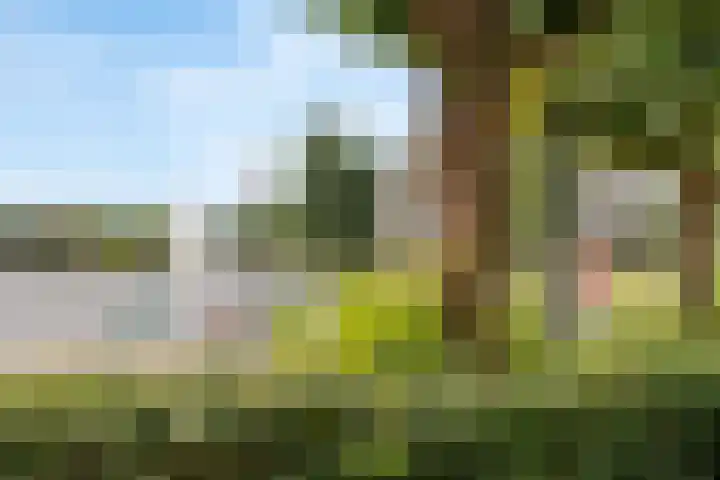 Laan naar Emiclaer 18 Amersfoort thumbnail 24