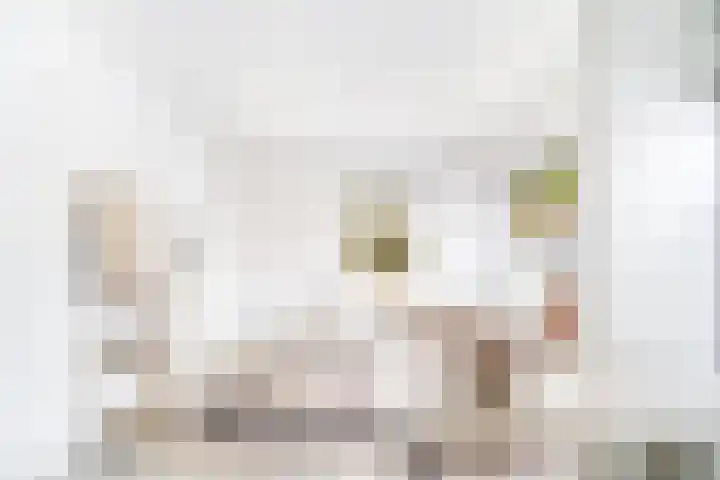 Laan naar Emiclaer 18 Amersfoort thumbnail 5