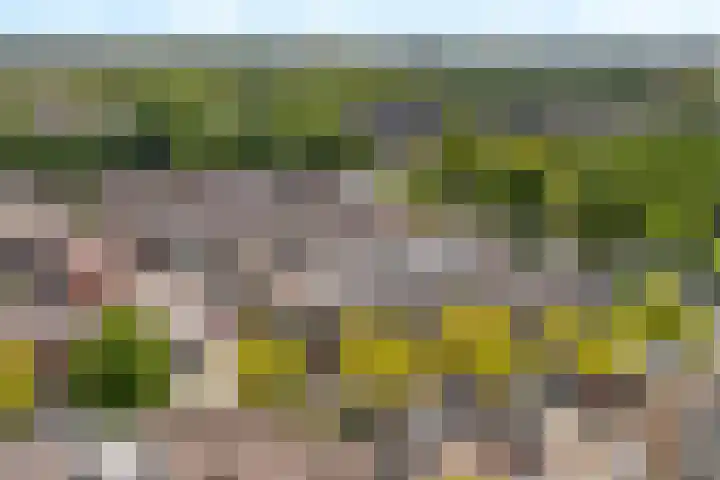 Laan naar Emiclaer 18 B Amersfoort thumbnail 24