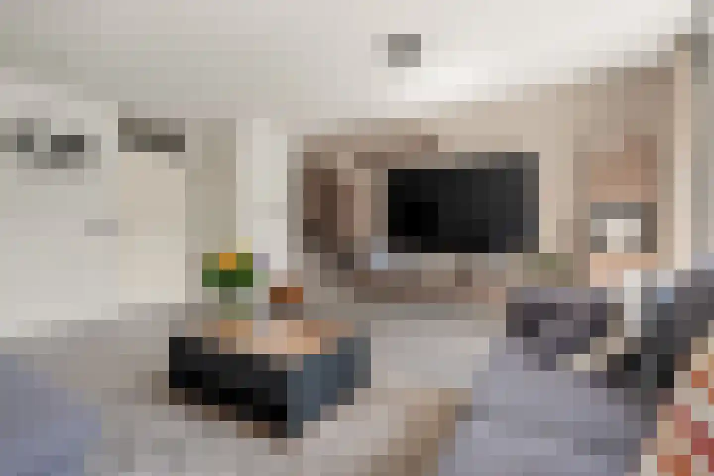 Laan naar Emiclaer 26 Amersfoort thumbnail 13