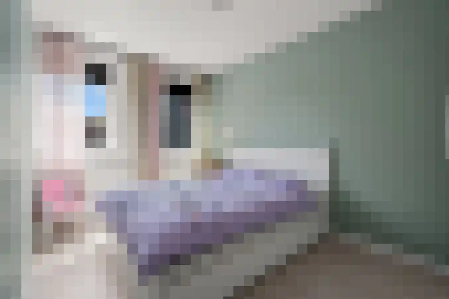Laan naar Emiclaer 26 Amersfoort thumbnail 30
