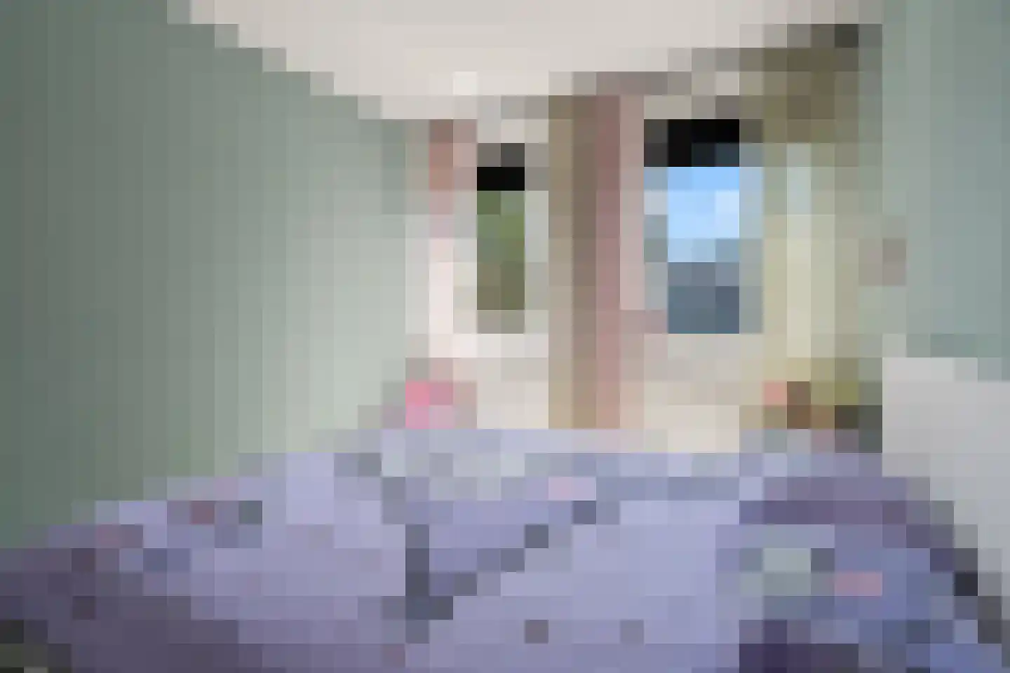 Laan naar Emiclaer 26 Amersfoort thumbnail 32