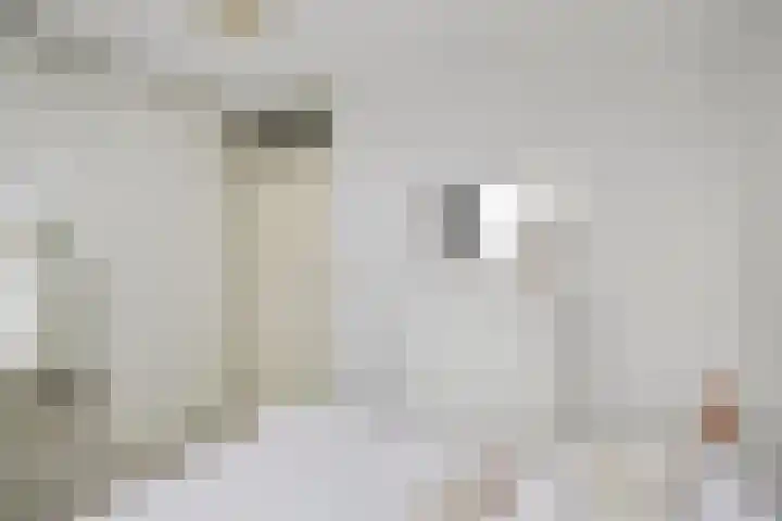 Laan naar Emiclaer 27 Amersfoort thumbnail 22