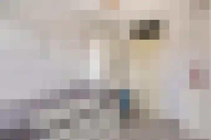 Laan naar Emiclaer 27 Amersfoort thumbnail 26