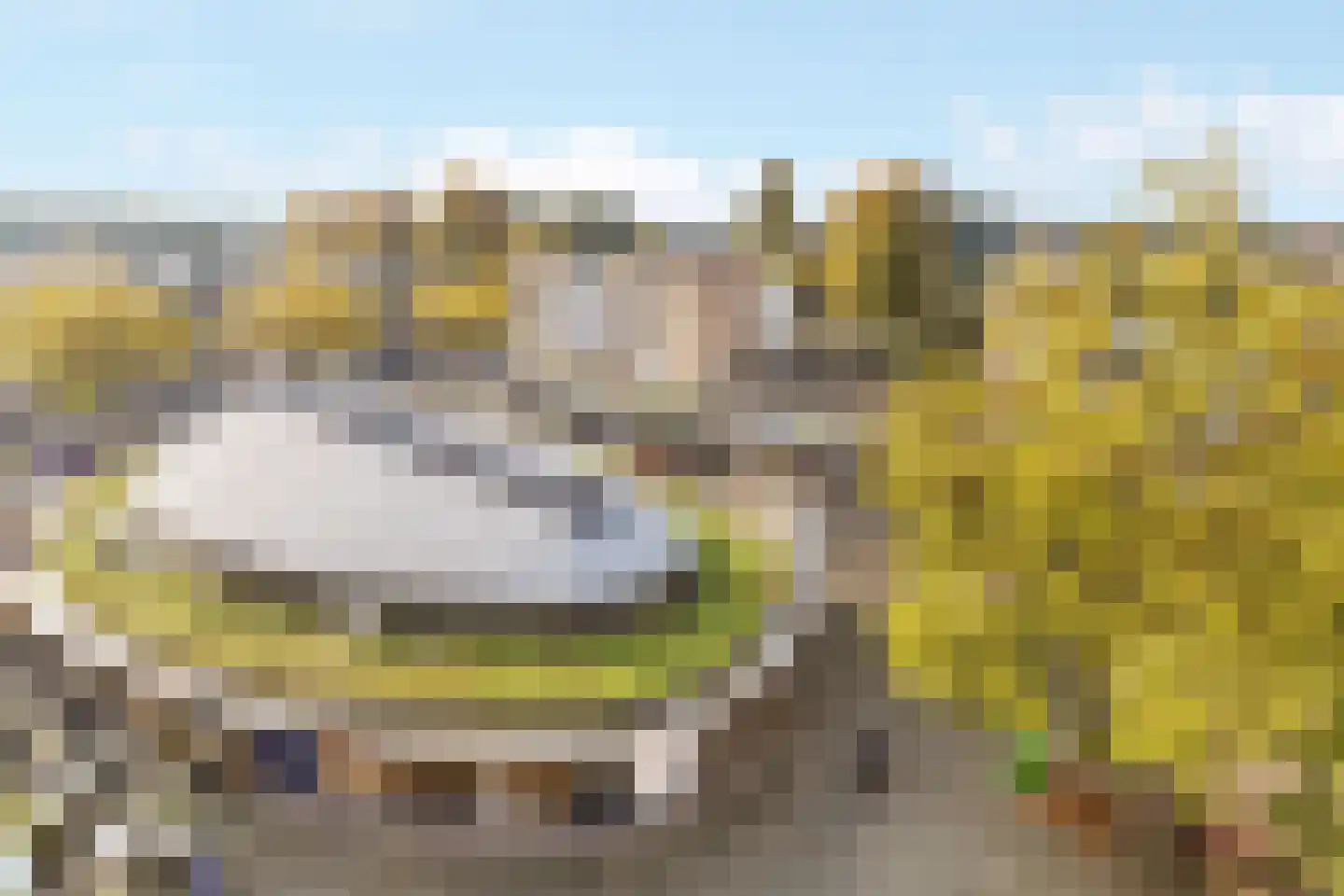 Laan naar Emiclaer 31 Amersfoort thumbnail 30
