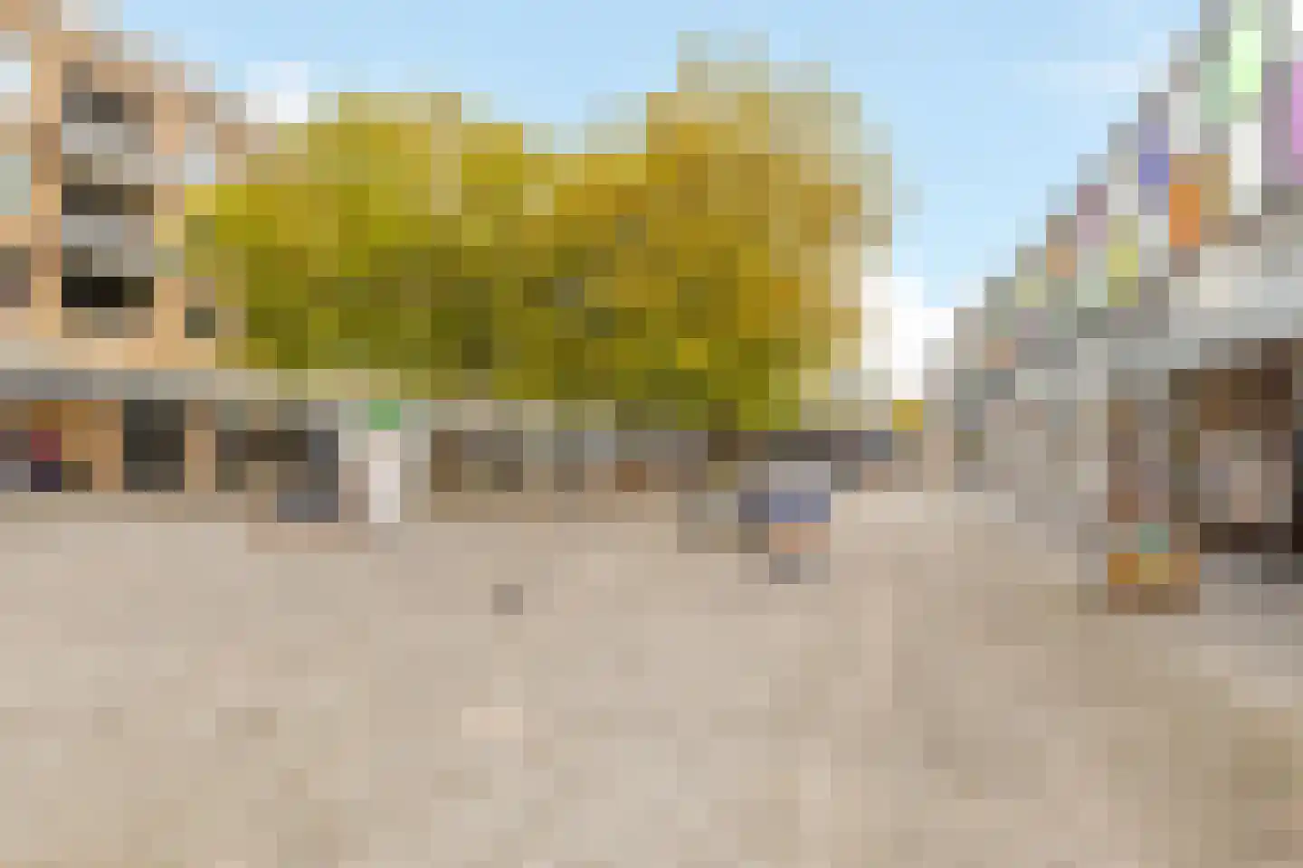 Laan naar Emiclaer 31 Amersfoort thumbnail 31