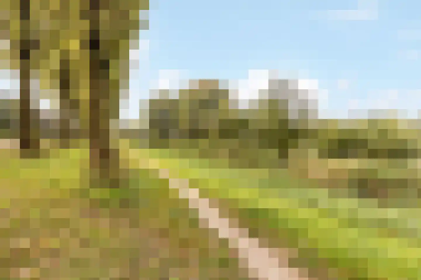 Laan naar Emiclaer 31 Amersfoort thumbnail 38