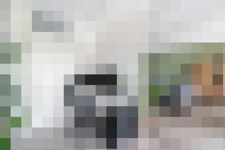 Laan naar Emiclaer 41 Amersfoort thumbnail 10
