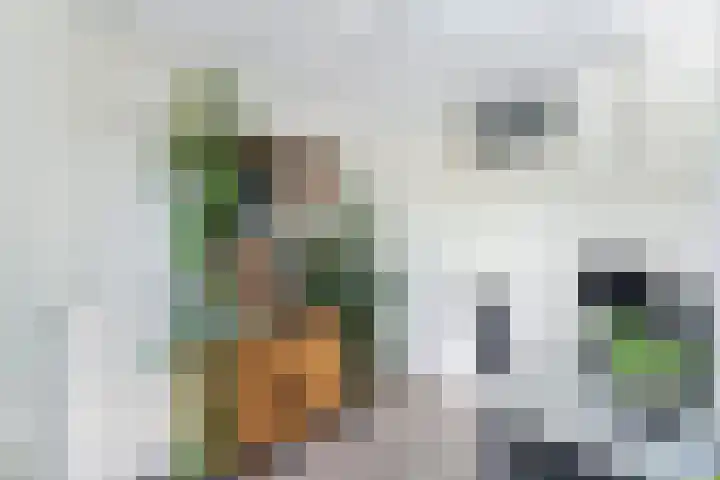 Laan naar Emiclaer 41 Amersfoort thumbnail 11