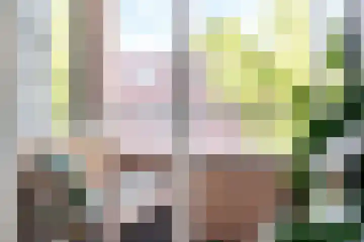 Laan naar Emiclaer 41 Amersfoort thumbnail 12