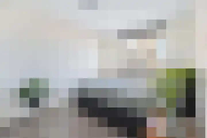 Laan naar Emiclaer 41 Amersfoort thumbnail 19