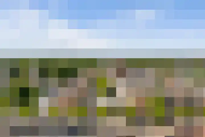 Laan naar Emiclaer 41 Amersfoort thumbnail 24