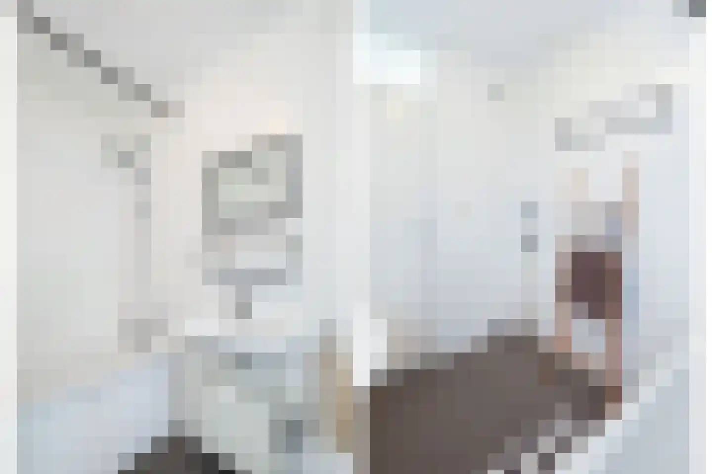 Laan naar Emiclaer 51 Amersfoort thumbnail 14
