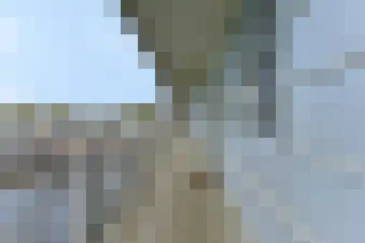 Laan naar Emiclaer 55 Amersfoort thumbnail 18