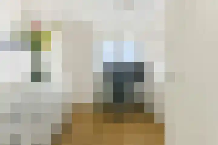 Laan naar Emiclaer 57 Amersfoort thumbnail 13