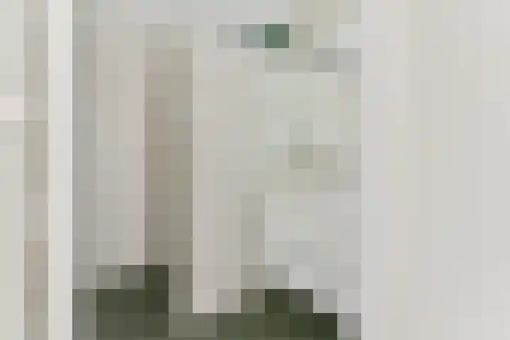 Laan naar Emiclaer 57 Amersfoort thumbnail 16