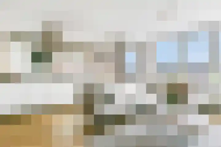 Laan naar Emiclaer 57 Amersfoort thumbnail 20