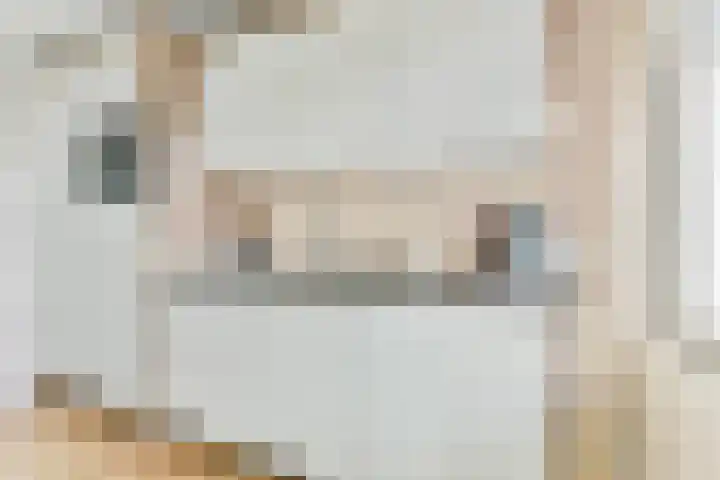 Laan naar Emiclaer 57 Amersfoort thumbnail 22