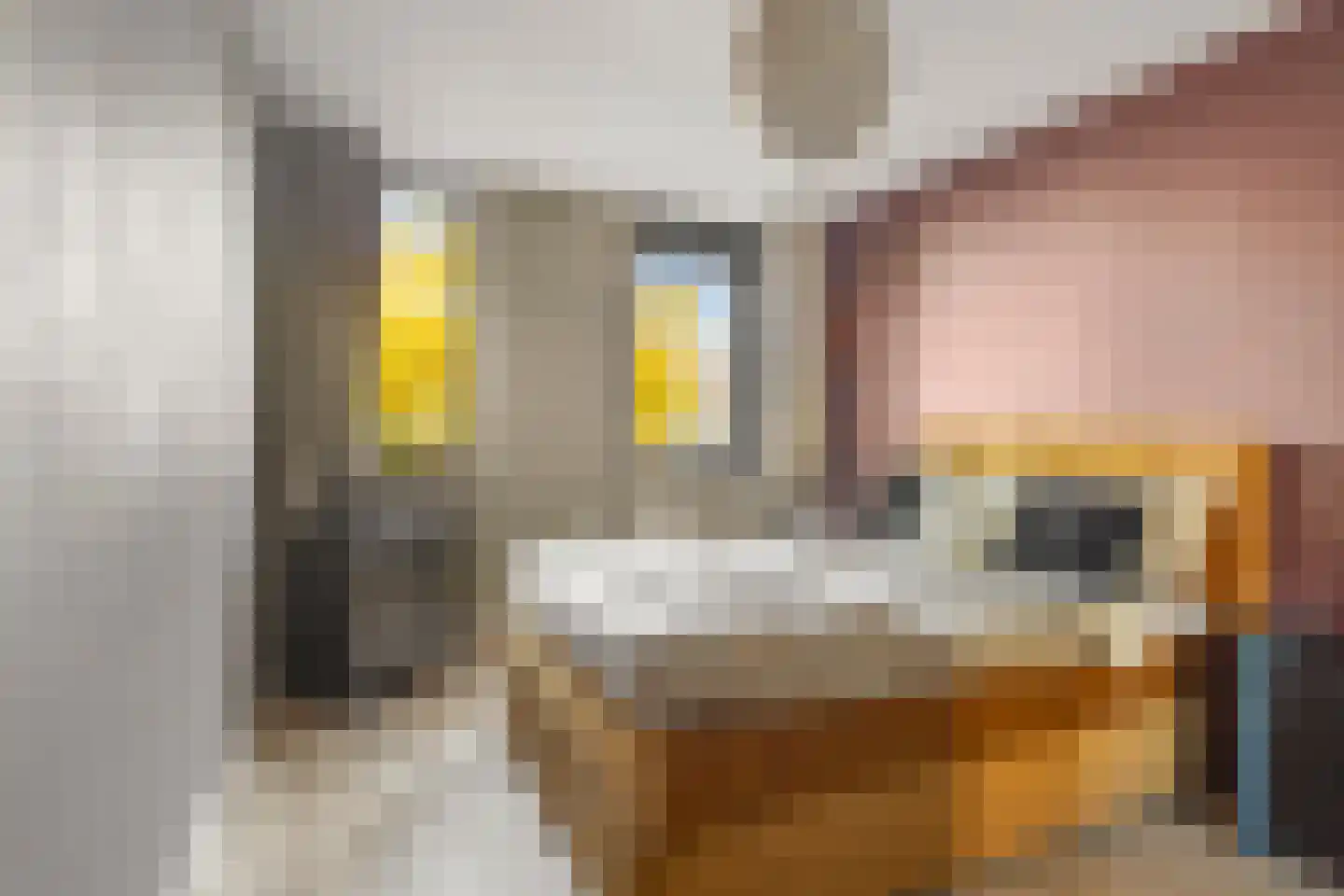 Laan naar Emiclaer 6 Amersfoort thumbnail 12