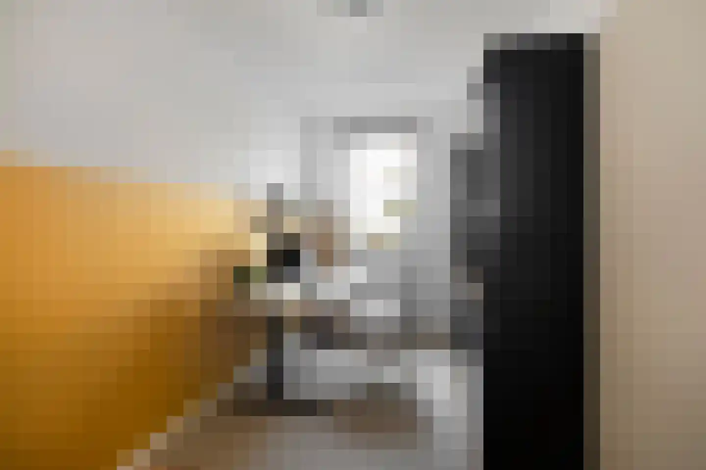 Laan naar Emiclaer 6 Amersfoort thumbnail 16