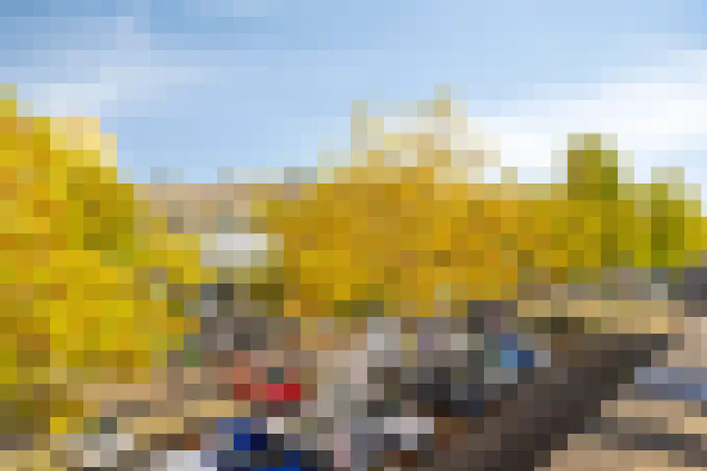 Laan naar Emiclaer 6 Amersfoort thumbnail 25