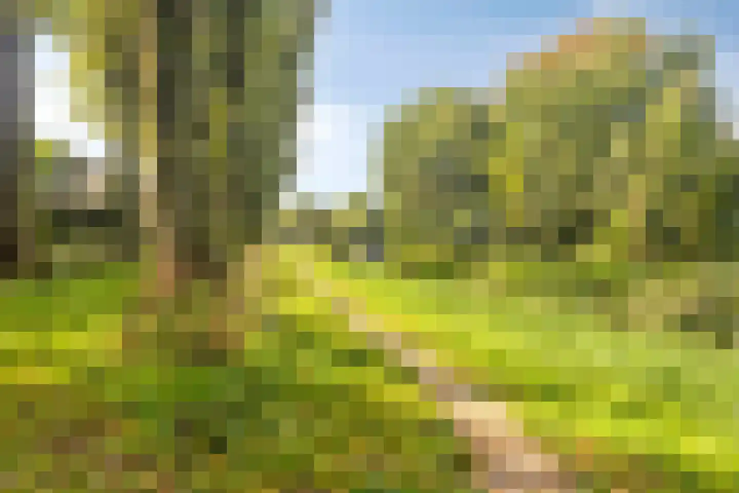 Laan naar Emiclaer 6 Amersfoort thumbnail 33