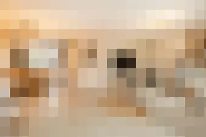 Laan naar Emiclaer 66 Amersfoort thumbnail 11