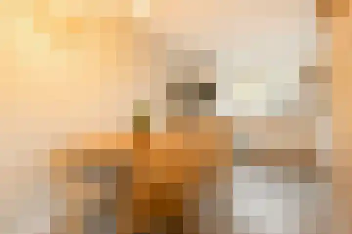 Laan naar Emiclaer 66 Amersfoort thumbnail 12