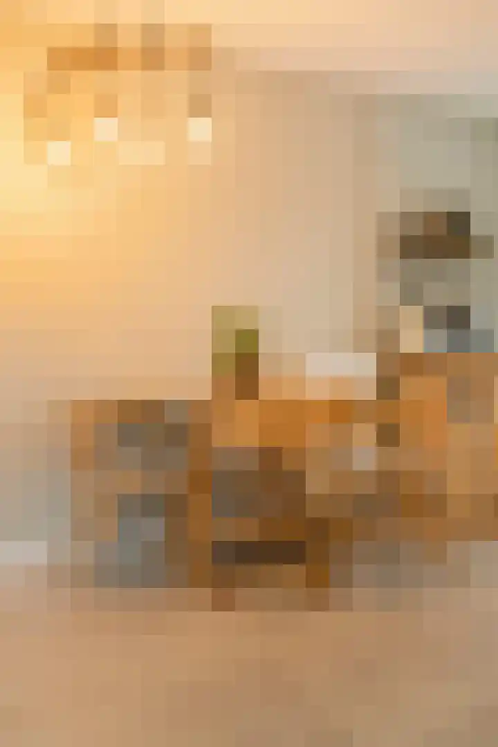 Laan naar Emiclaer 66 Amersfoort thumbnail 13