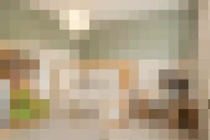 Laan naar Emiclaer 66 Amersfoort thumbnail 22