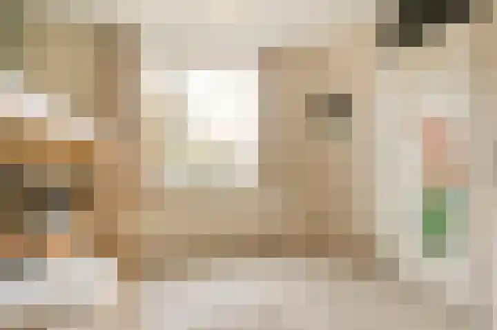 Laan naar Emiclaer 66 Amersfoort thumbnail 23
