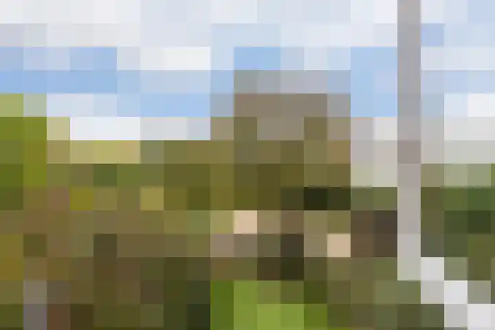 Laan naar Emiclaer 66 Amersfoort thumbnail 25