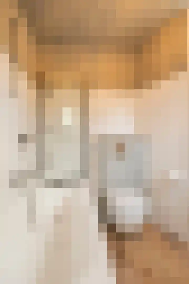 Laan naar Emiclaer 66 Amersfoort thumbnail 28