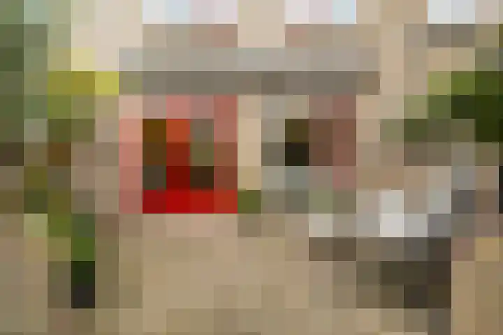 Laan naar Emiclaer 66 Amersfoort thumbnail 30
