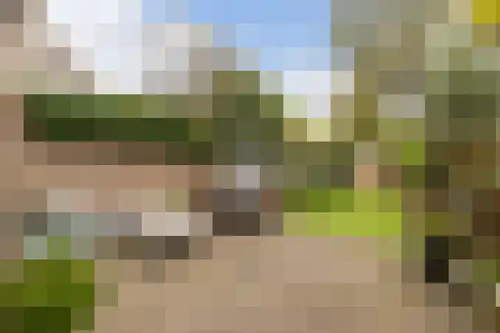 Laan naar Emiclaer 66 Amersfoort thumbnail 31