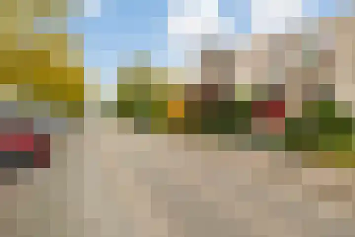 Laan naar Emiclaer 66 Amersfoort thumbnail 32