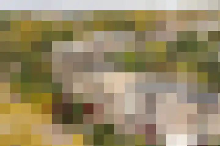 Laan naar Emiclaer 66 Amersfoort thumbnail 33