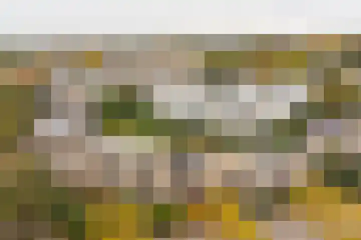 Laan naar Emiclaer 66 Amersfoort thumbnail 34