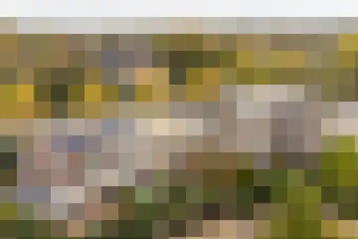 Laan naar Emiclaer 66 Amersfoort thumbnail 35