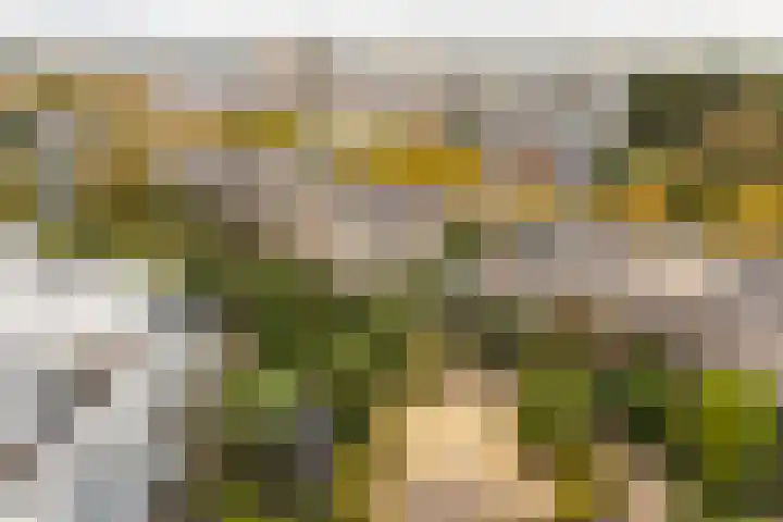 Laan naar Emiclaer 66 Amersfoort thumbnail 36