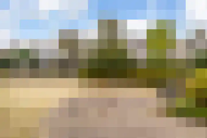 Laan naar Emiclaer 66 Amersfoort thumbnail 37