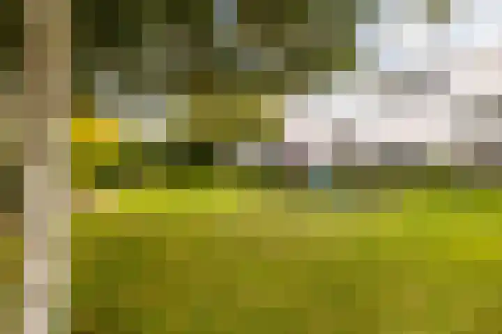 Laan naar Emiclaer 66 Amersfoort thumbnail 38