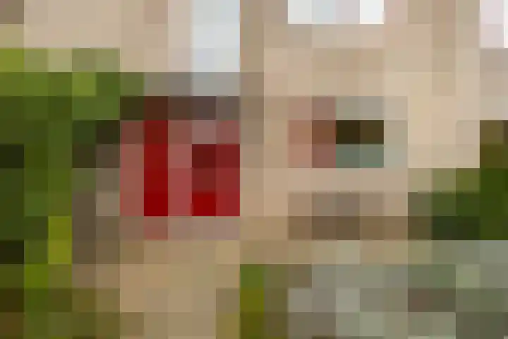 Laan naar Emiclaer 66 Amersfoort thumbnail 5